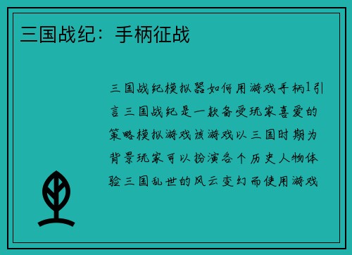三国战纪：手柄征战