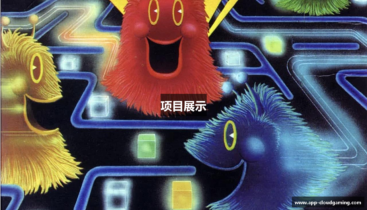 项目展示